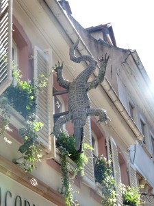 Crocodile Strasbourg histoire